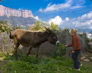 http://www.casafont.com/rural [site-name[