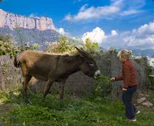 http://www.casafont.com/rural [site-name[