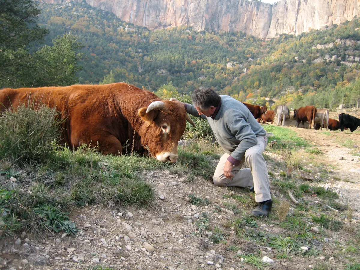 L'entorn · Toro i en Pere