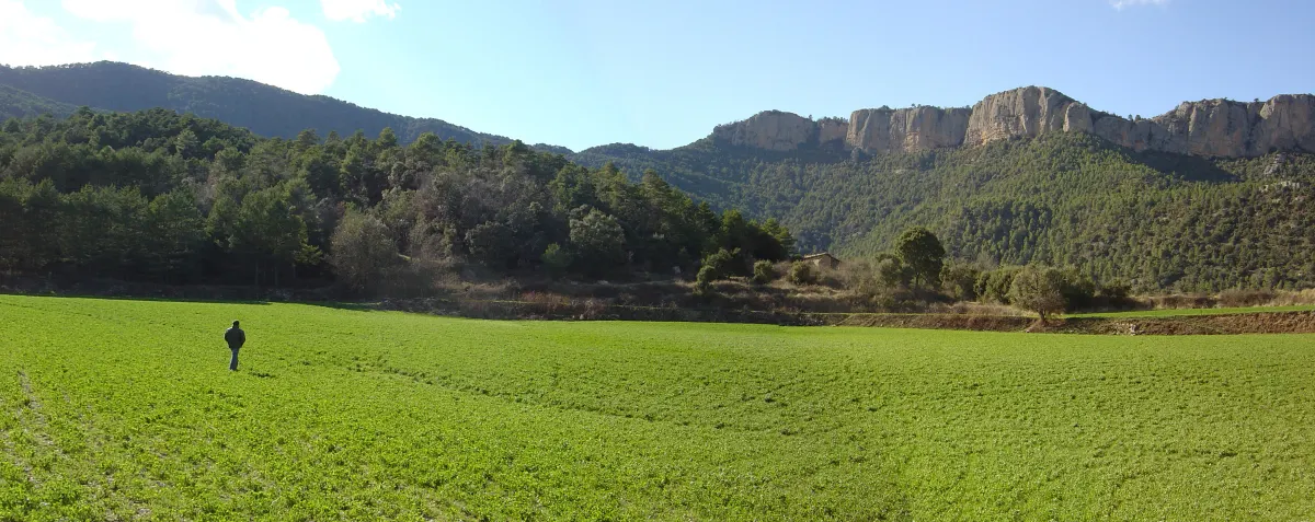 L'entorn · Prat