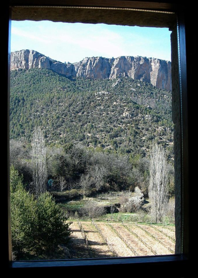 Window at Casafont II